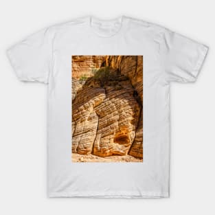 Lick Wash Trail Hike T-Shirt